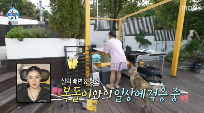 박나래, 새 가족 생겨 '55억 집' 싹 바꿨다 "이제 혼자 안 살아, …