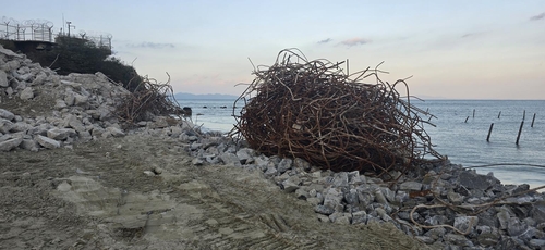백령도 점박이물범 최대서식지에 공사폐기물…軍 당국에 과태료
