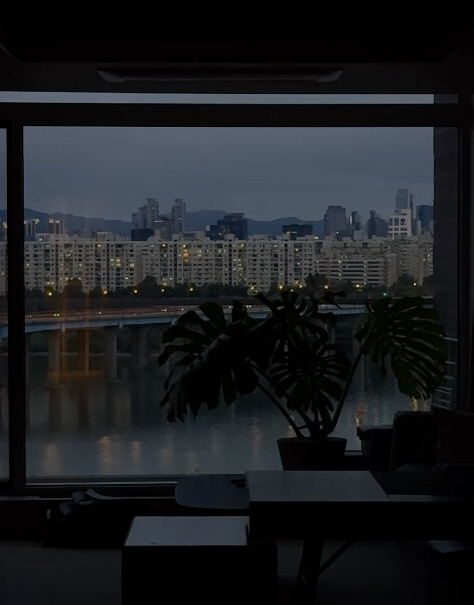 효민, 결혼 후 별거 끝났다...♥S대 금융맨과 수십억대 '한강뷰 신혼집…