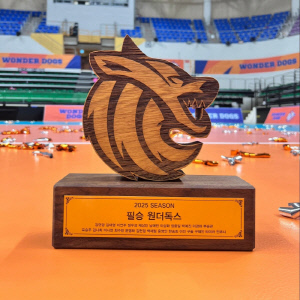 김연경, 첫 감독 도전 소감 