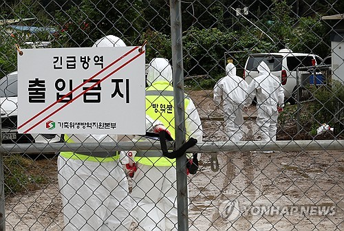 당진 송산 돼지농장서 충남 첫 ASF 발생…긴급 차단방역 돌입