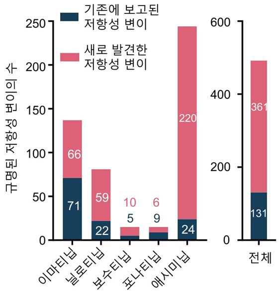 만성골수성백혈병, 항암제 치료 효과 예측 기술 개발…맞춤 정밀의료 기대