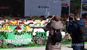 '산불 이겨낸 경북 사과' 대한민국 대표과일 대회 2년 연속 대상