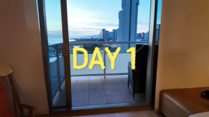 하정우, 하와이 '1000억 집' 드디어 공개…조카 위해 빌려준 '오션뷰 아파트'