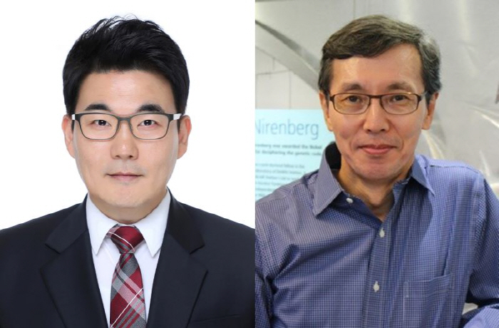 간섬유화·염증 동시에 억제 가능한 정밀 치료 표적 발견…차세대 신약 개발…