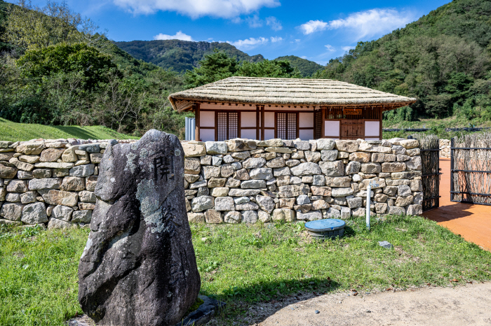 추위 거뜬, 기쎈 금산…맛있는 겨울, '인삼 정원'으로의 초대