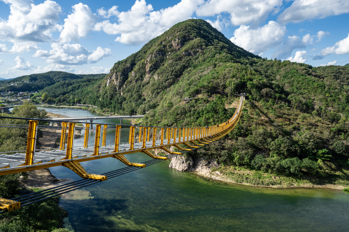 추위 거뜬, 기쎈 금산…맛있는 겨울, '인삼 정원'으로의 초대