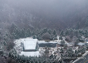 전국 곳곳 눈비…강원 산지 대설특보 가능성