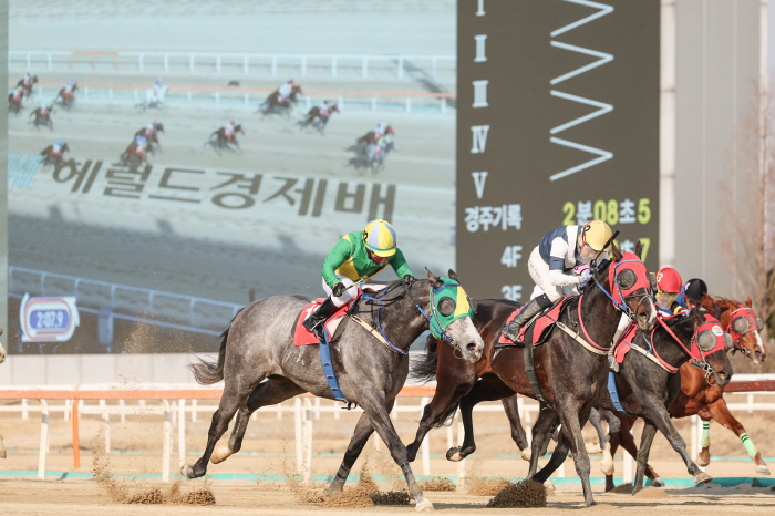 한국경마 최강마 가리자! 제43회 그랑프리, 승자는