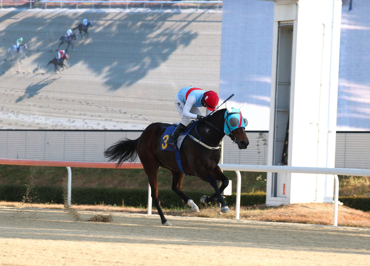 암말 에이스 등장! 에이스하이, 브리더스컵 퀸 대상경주 우승