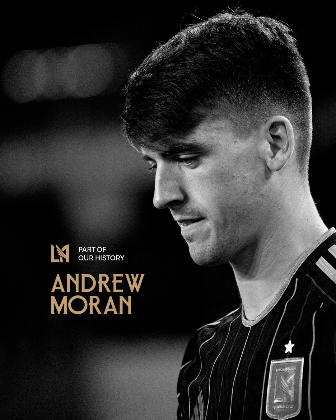 [오피셜]잘 있어 손흥민 'SON 영입→충격 무관 탈락' LAFC 분노의…