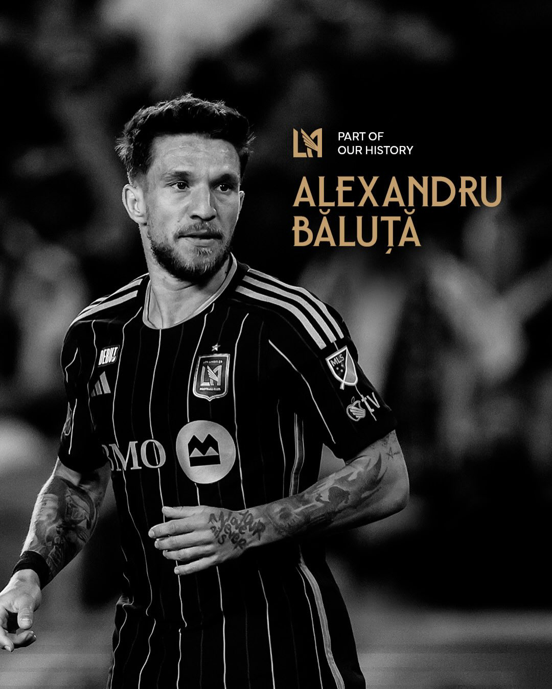 [오피셜]잘 있어 손흥민 'SON 영입→충격 무관 탈락' LAFC 분노의…