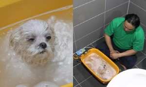 구성환, 꽃분이와 이별한다...