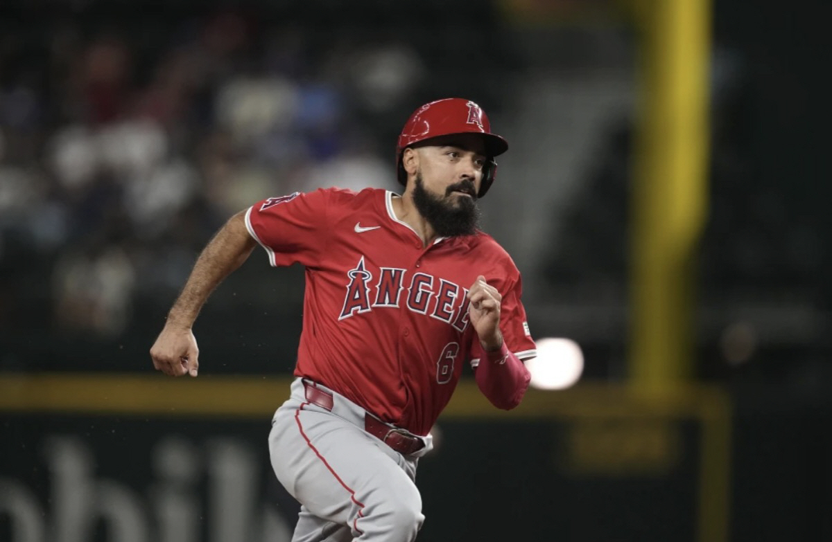 운동 그만둬도 행복한 '악성 계약'의 수혜자들, 거의 보라스 고객[스조산…