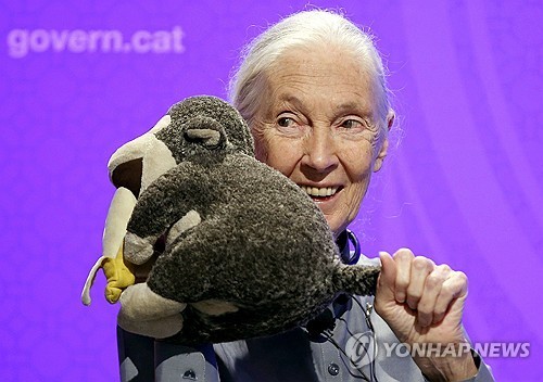 [아프리카는] (99)제인 구달의 고별 메시지 "포기 말고 당신 몫 해내세요"