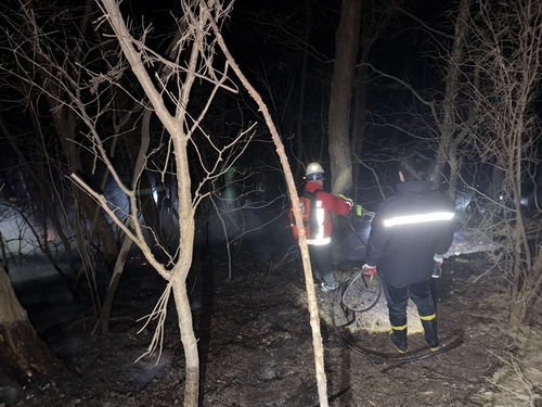 충남 태안에서 산불 잇따라…인명피해 없어