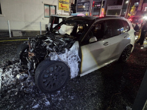 주차된 BMW하이브리드 차량, 화재로 전소…1억원 피해