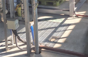 청주 장기실종 여성 살해 사건, 경찰 부실수사로 미제될 뻔