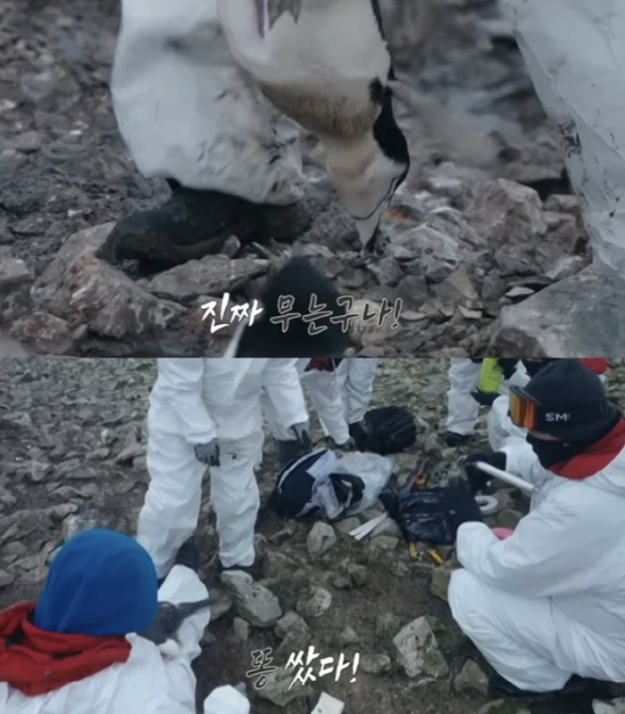 ‘남극의 셰프’ 펭귄 학대 논란에 입 열었다…“출연진 아닌 연구요원”[공…