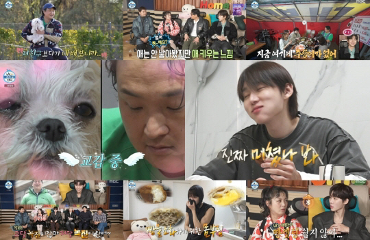 이장우 결혼하자마자 '팜유' 신입 등장.."비주얼이 필요하다" ('나혼산…