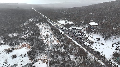 제주도 산지 대설주의보가 해제된 후 제주 한라산 1100고지 일대에 관광객 차량이 몰린 모습. 2025.11.19 [연합뉴스 자료사진]