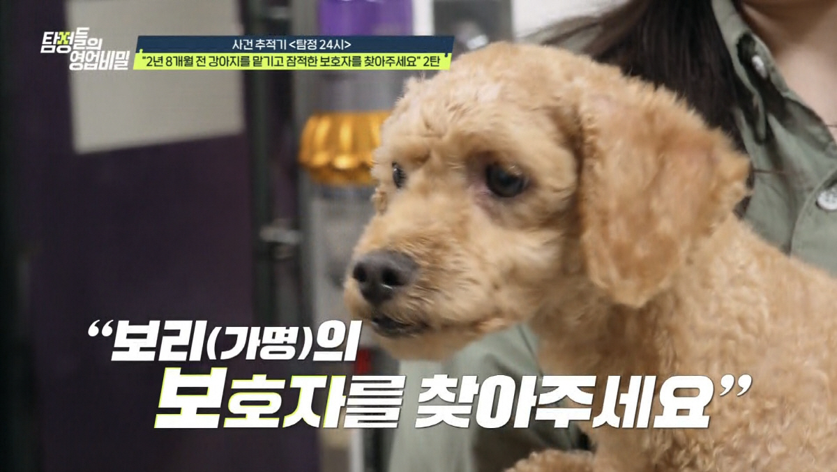 "술·담배 자주 사가" vs "암 진단 받고 항암치료중"…반려견 방치 이…