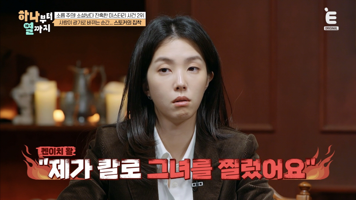 日신주쿠 라방中 BJ 참혹한 살해→42세 스토커가 범인…여론은 오히려 피…