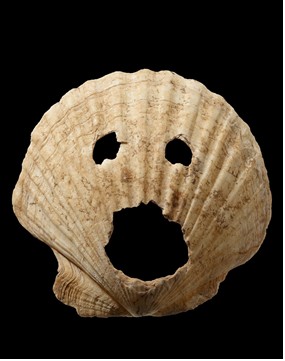 국립해양박물관, '패각에 담긴 한일의 흔적' 기획전시