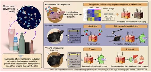 "피부 통해 몸속으로 퍼진다"…나노플라스틱 확산 첫 규명