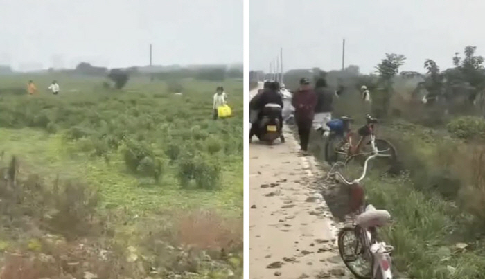 "고추가 공짜"…허위 SNS 영상 때문에 싹쓸이 피해