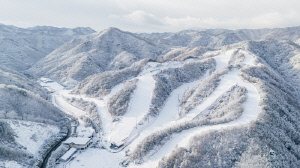 엘리시안 강촌, 12월 6일 스키장 개장 