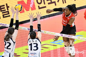 프로배구 여자부 2위 싸움 대혼전…네 팀 물고 물리는 각축전