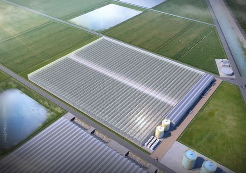 태안에 177억원 들여 3㏊ 규모 스마트팜 구축…2040년까지 운영