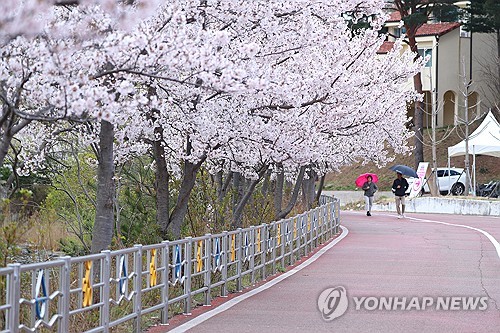 올해 가장 눈길 가는 속초 소식은…'영랑호 관광단지 조성' 1위