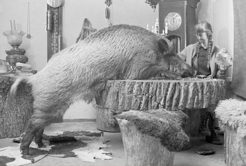 사람과 동물은 어디서부터 어긋났을까…4만년 역사 되짚기