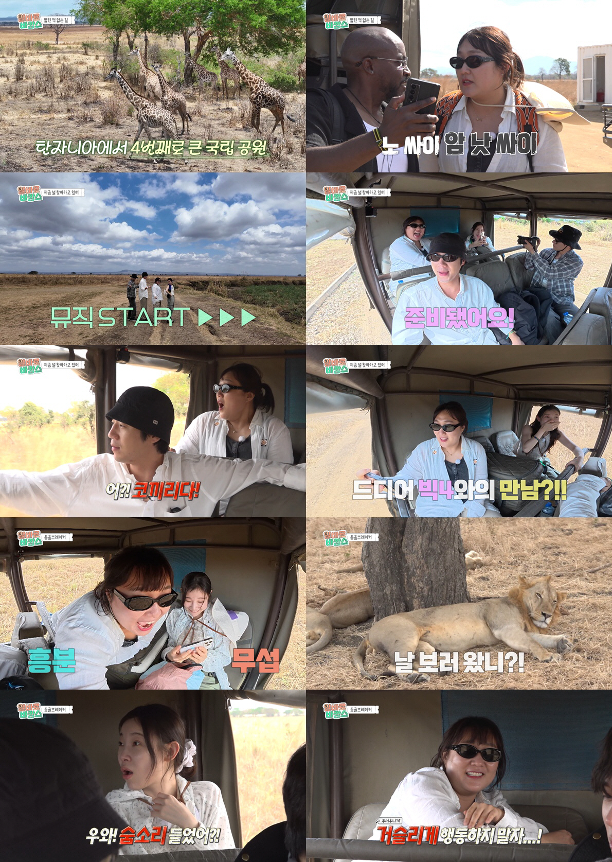 이수지, 탄자니아서 싸이로 오해 받았다...외국인 충격 "싸이 아니라고?…