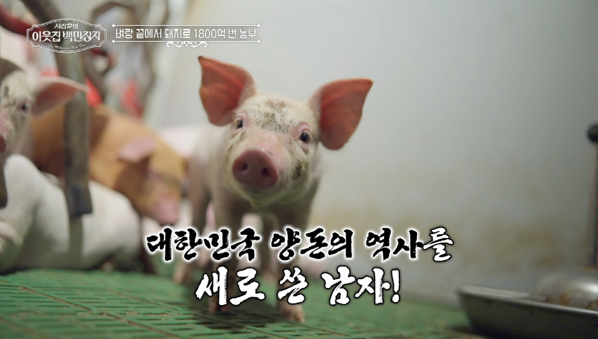 냉삼→냉장육 시대 처음 연 '돼지농부' 이범호…1800억원 매출 "삼겹살…