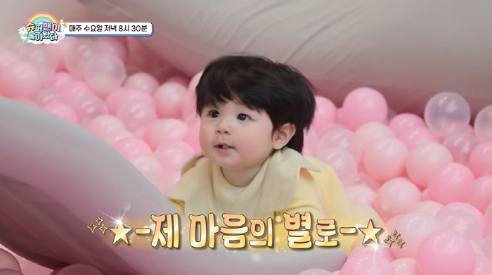 심형탁子 하루, '키즈카페' 광고 모델 예약...수입만 '5억' 9개월차…