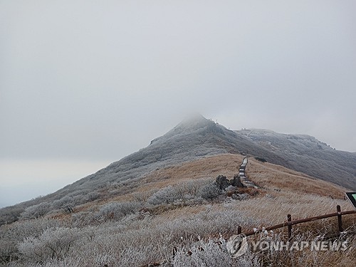 광주 올겨울 첫눈…대부분 영하권에 출근길 강추위
