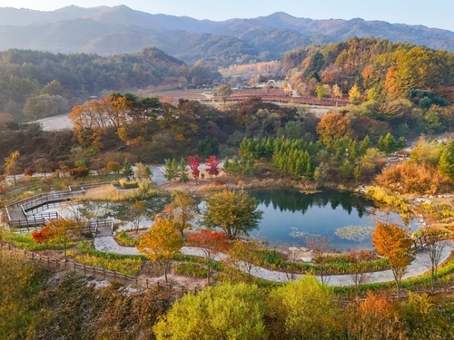 거울연못 [사진/임헌정 기자]