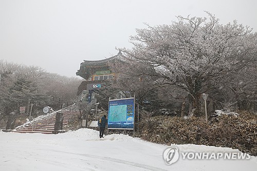 '대설특보' 한라산 삼각봉 눈 8㎝ 쌓여…산간도로 일부 통제