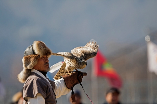 유네스코 세계무형유산 '매사냥' 6일 대청호반서 시연