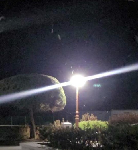 대전서 첫눈 관측…평년보다 13일 느린 첫눈