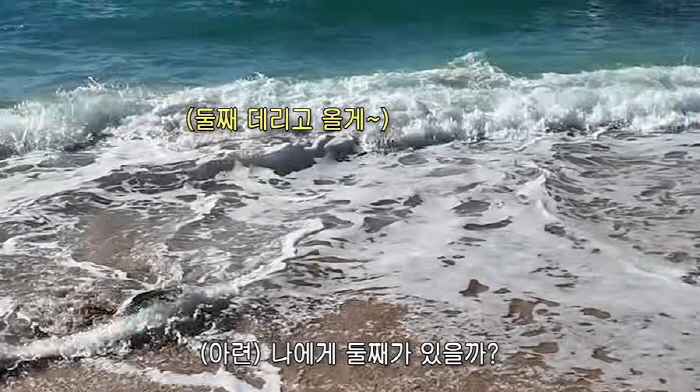 황보라, '시험관 4차' 임신 후 2년만 둘째 계획 "우인이 동생이랑 올…