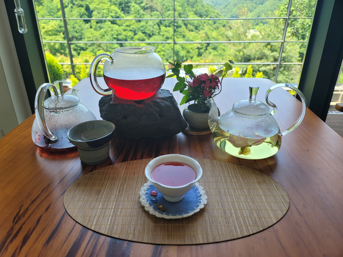 5가지 테마 웰니스 여행…충북에서 건강한 겨울나기