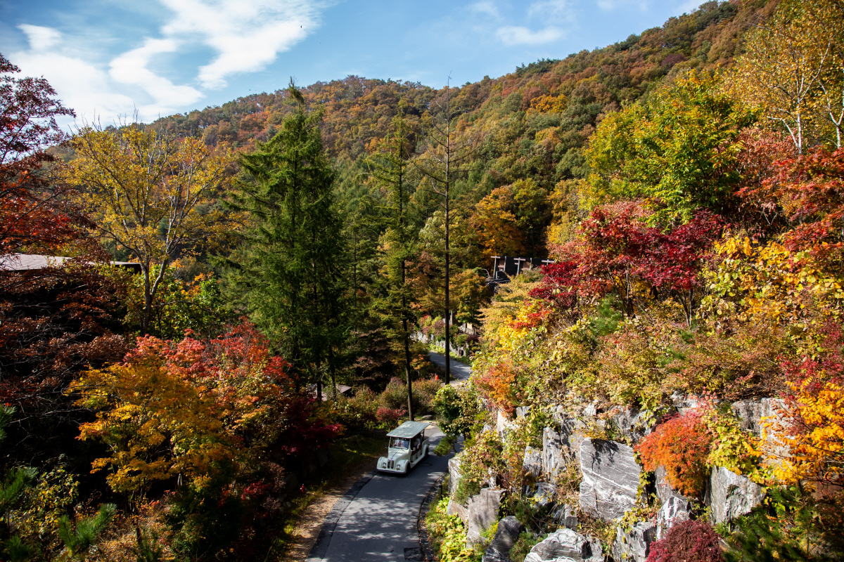 5가지 테마 웰니스 여행…충북에서 건강한 겨울나기