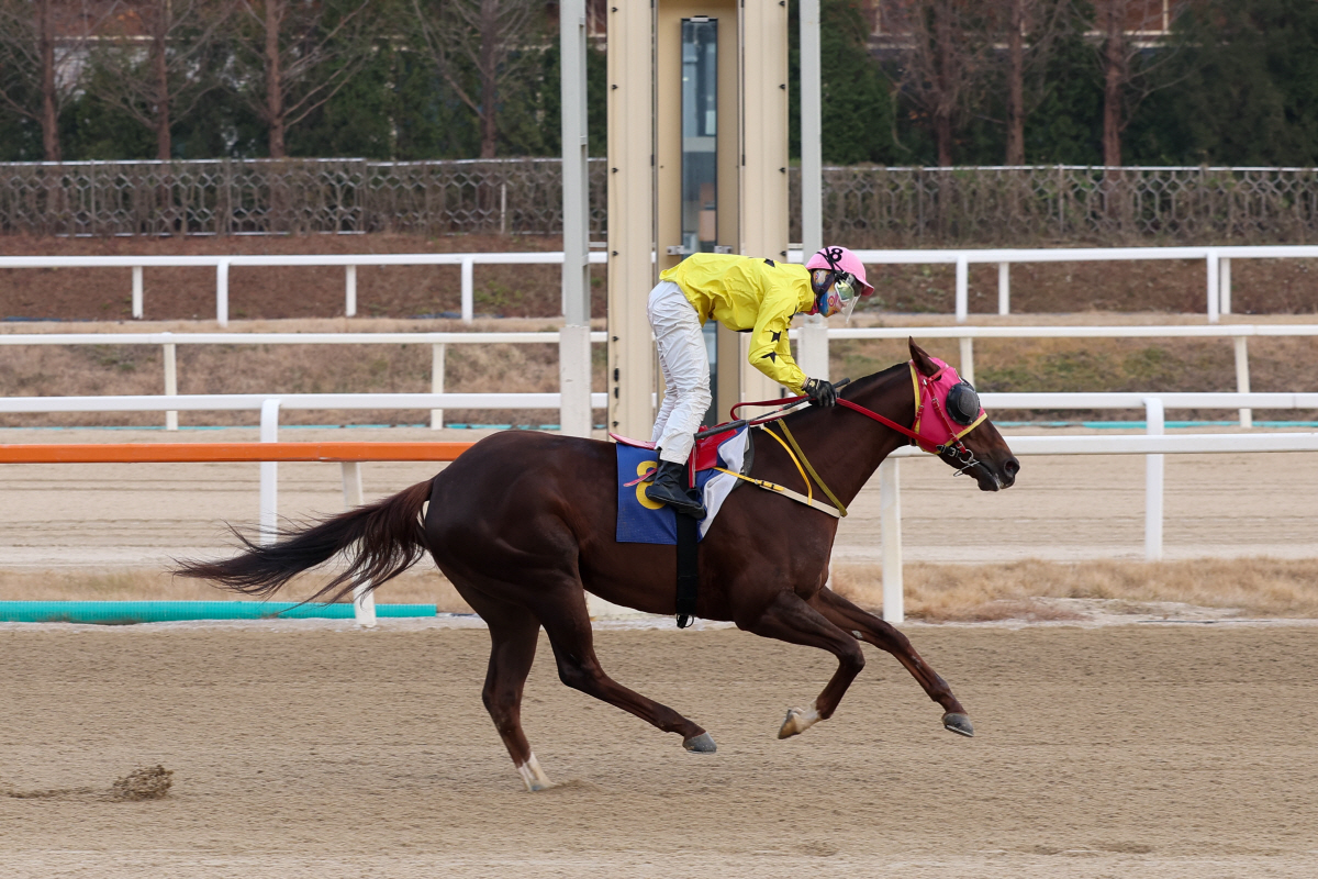 제43회 그랑프리 제패 '클린원', 갖가지 기록 쏟아냈다