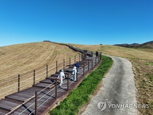 [걷고 싶은 길] 겨울을 기다리는 드넓은 초지 '서산 한우목장길'