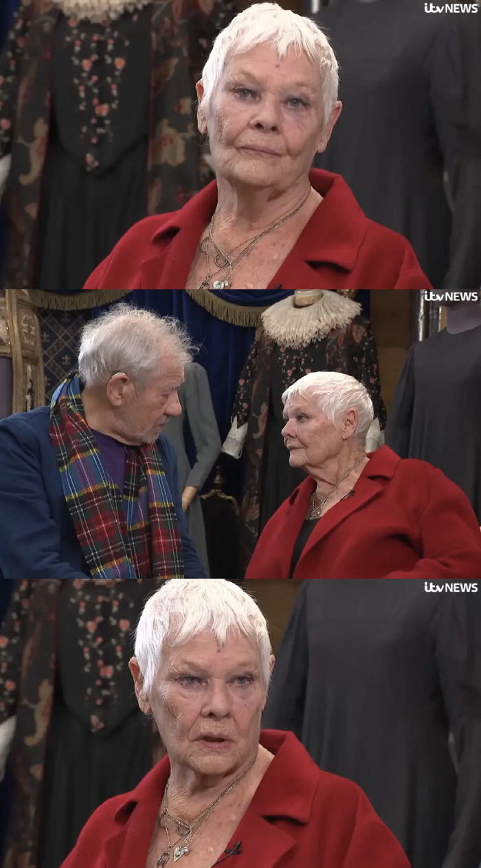 시력 잃은 90세 주디 덴치, 은퇴 암시..“이제 스크린서 날 볼 수 없을 것”