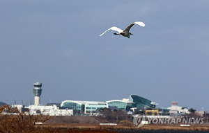 정부, 여객기 참사 1년만에 '조류충돌 위험평가 지침' 마련